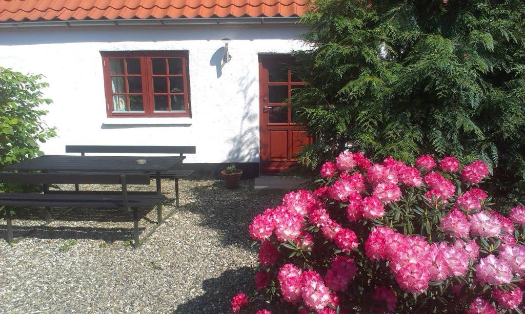 Vranum Guesthouse Viborg Exterior photo